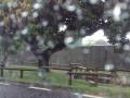 Grosses averses sur l'ile Grosses averses sur l'ile
