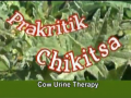 prakritik chikitsa