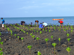 Gestion durable des zones côtières de l’océan Indien.