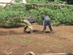 Délinquence juvenile Délinquence juvenile